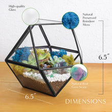 Load image into Gallery viewer, 7” Geometric Black Glass Succulent Terrarium Kit - Creations by Nathalie