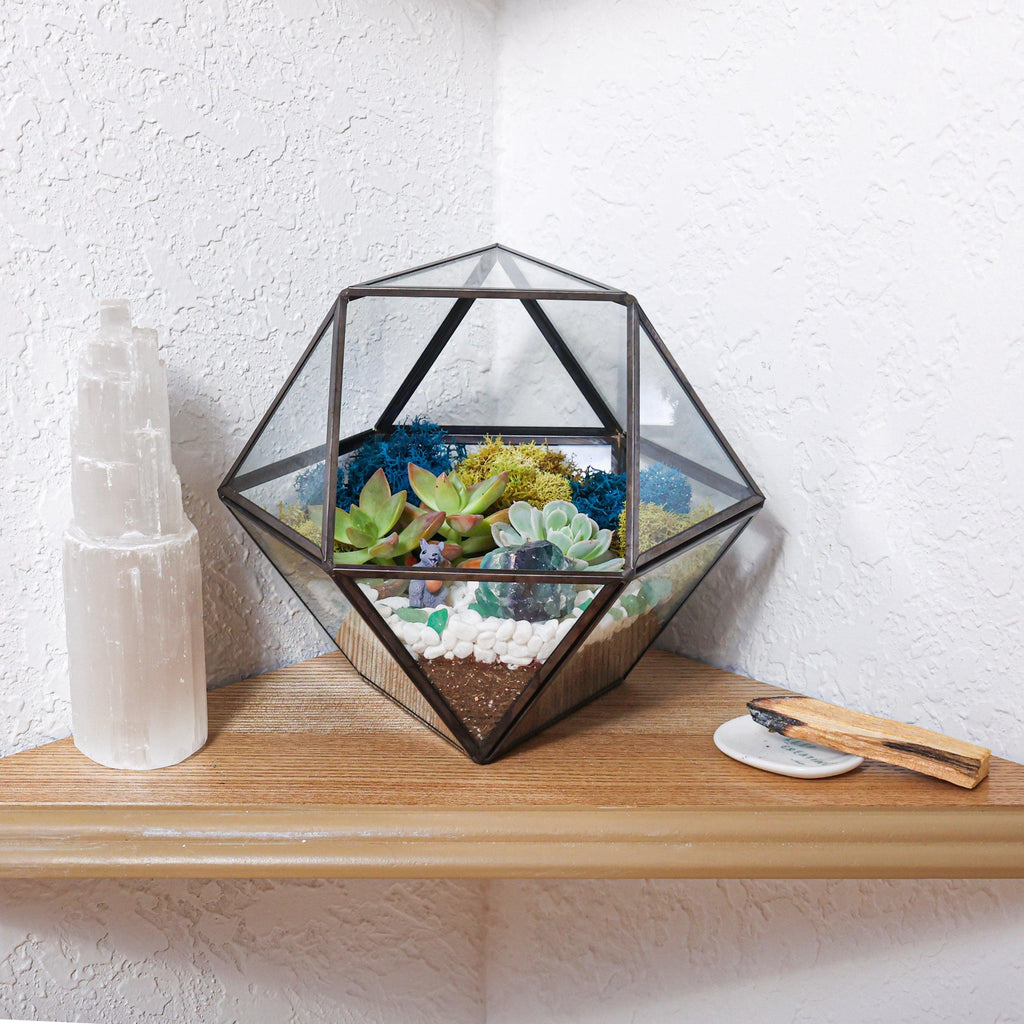 7” Geometric Black Glass Succulent Terrarium Kit - Creations by Nathalie