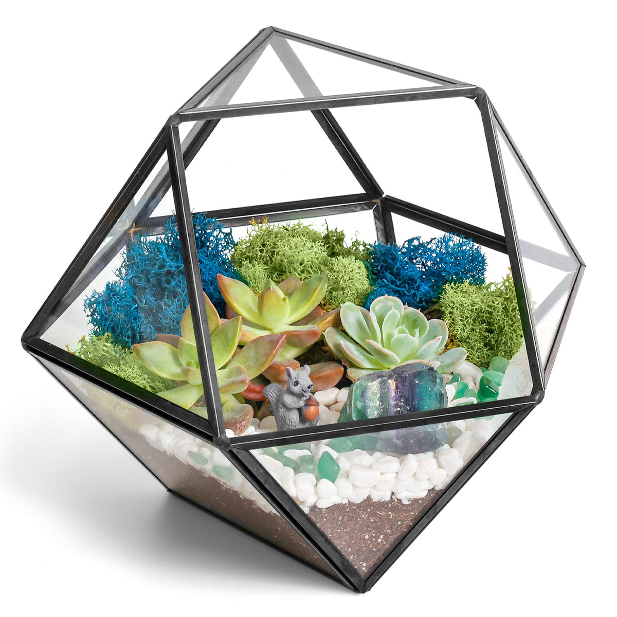 7” Geometric Black Glass Succulent Terrarium Kit - Creations by Nathalie