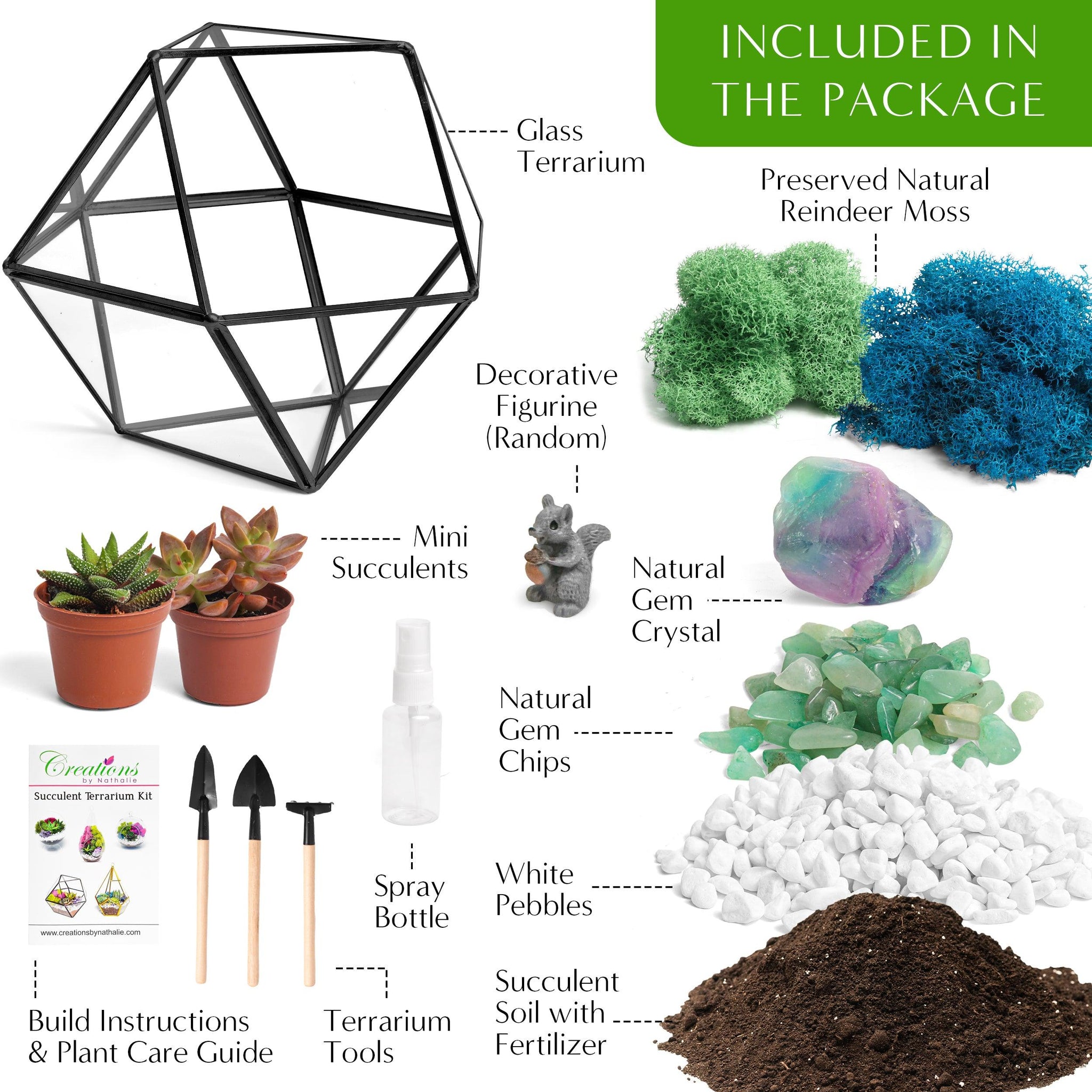 7 healing succulent plants 7” Geometric Black Glass Succulent Terrarium Kit