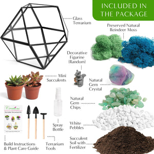 7” Geometric Black Glass Succulent Terrarium Kit - Creations by Nathalie