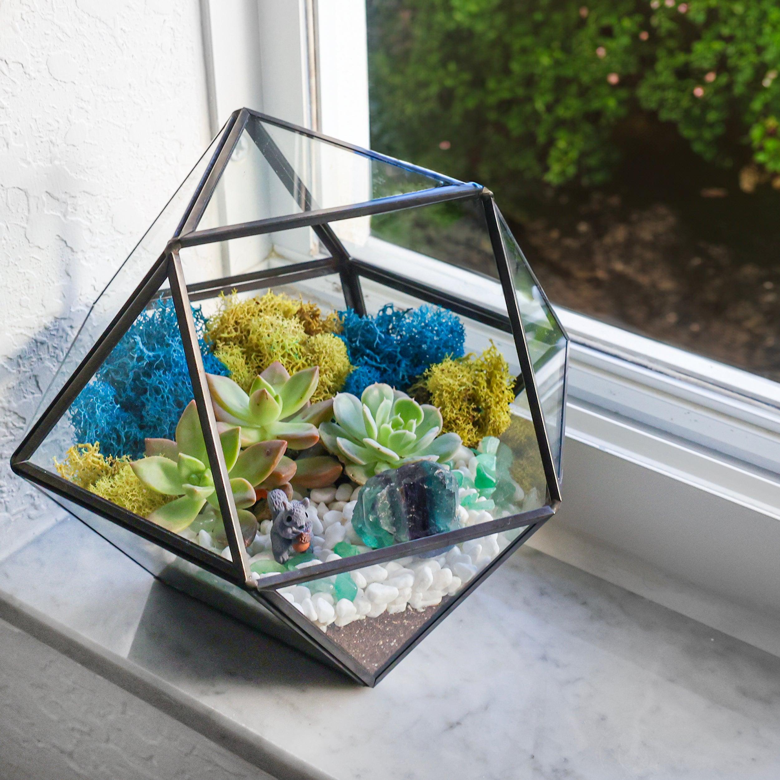 7” Geometric Black Glass Succulent Terrarium Kit - Creations by Nathalie