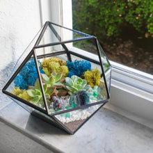 Load image into Gallery viewer, 7” Geometric Black Glass Succulent Terrarium Kit - Creations by Nathalie