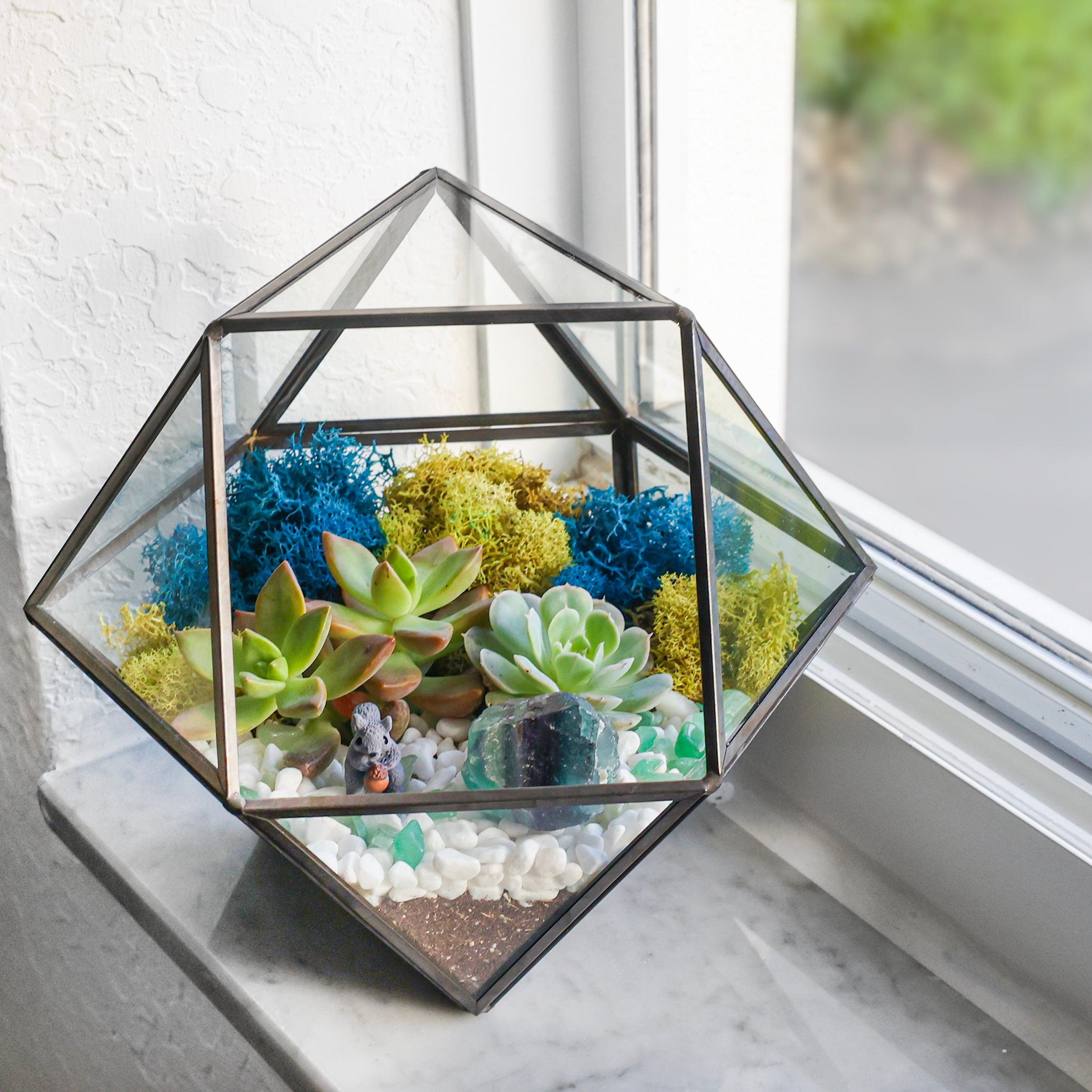 7” Geometric Black Glass Succulent Terrarium Kit - Creations by Nathalie