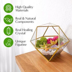 7” Geometric Gold Glass Succulent Terrarium Kit - Creations by Nathalie