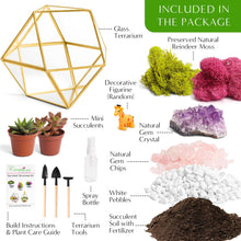 Load image into Gallery viewer, 7” Geometric Gold Glass Succulent Terrarium Kit - Creations by Nathalie