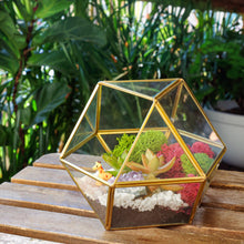 Load image into Gallery viewer, 7” Geometric Gold Glass Succulent Terrarium Kit - Creations by Nathalie