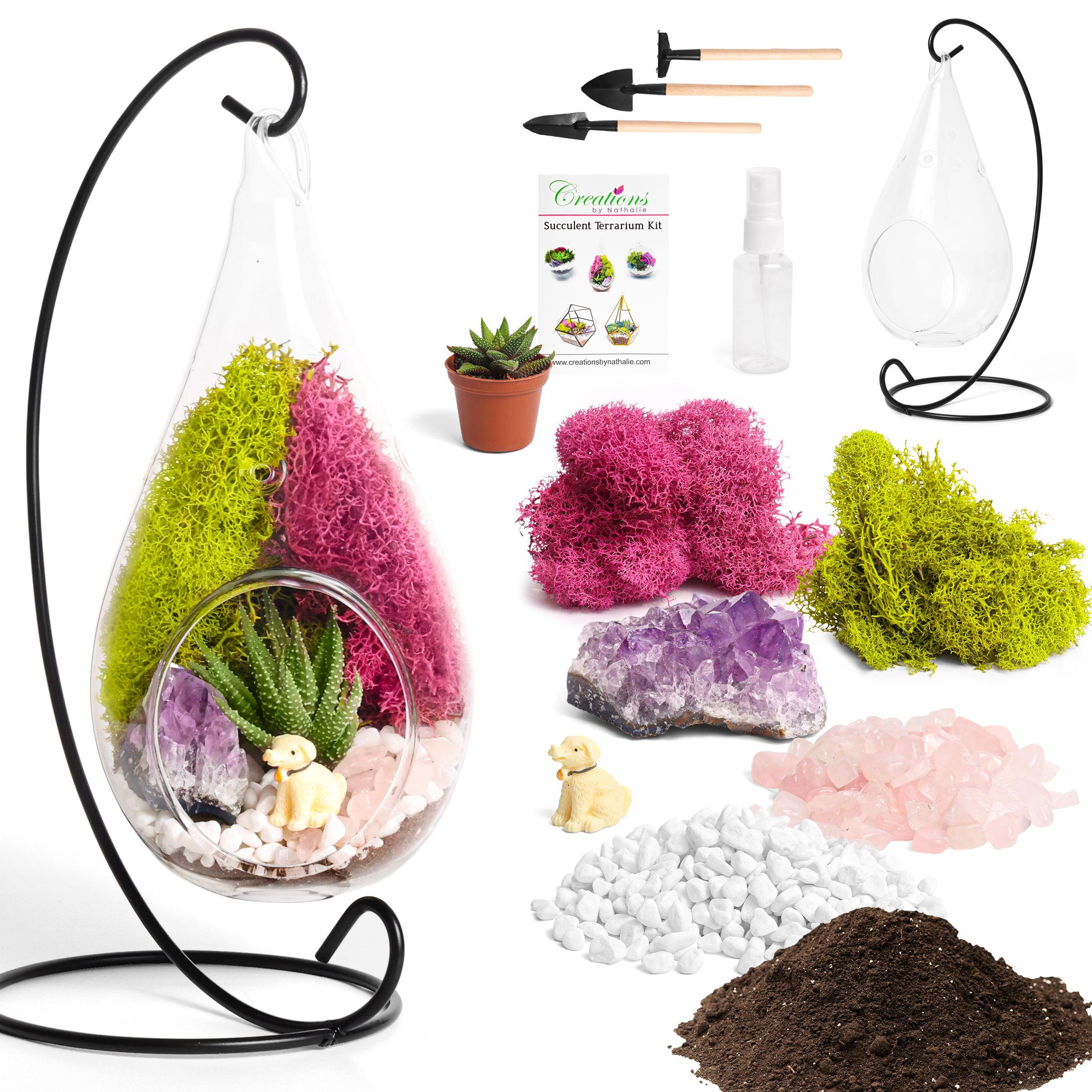 7" Glass Tear Drop Succulent Terrarium Kit - Creations by Nathalie