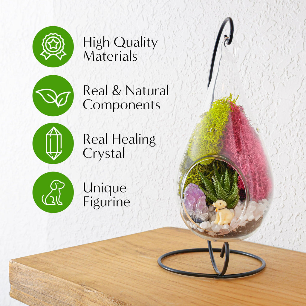 7" Glass Tear Drop Succulent Terrarium Kit - Creations by Nathalie