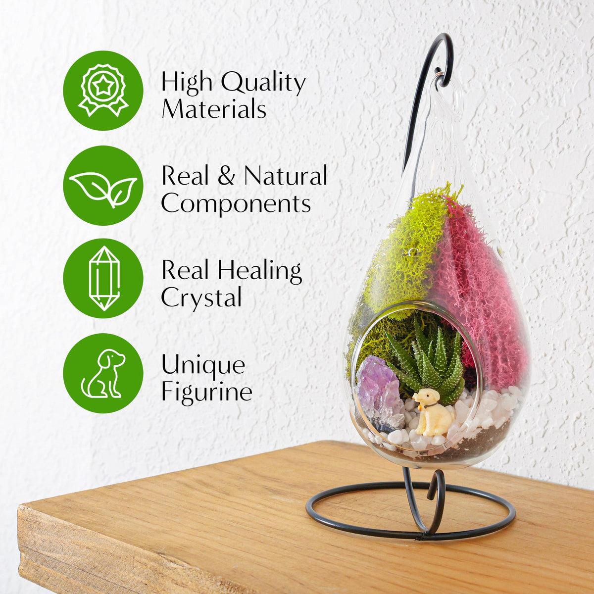 7" Glass Tear Drop Succulent Terrarium Kit - Creations by Nathalie