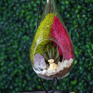 7" Glass Tear Drop Succulent Terrarium Kit - Creations by Nathalie