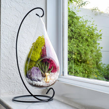 Load image into Gallery viewer, 7&quot; Glass Tear Drop Succulent Terrarium Kit - Creations by Nathalie