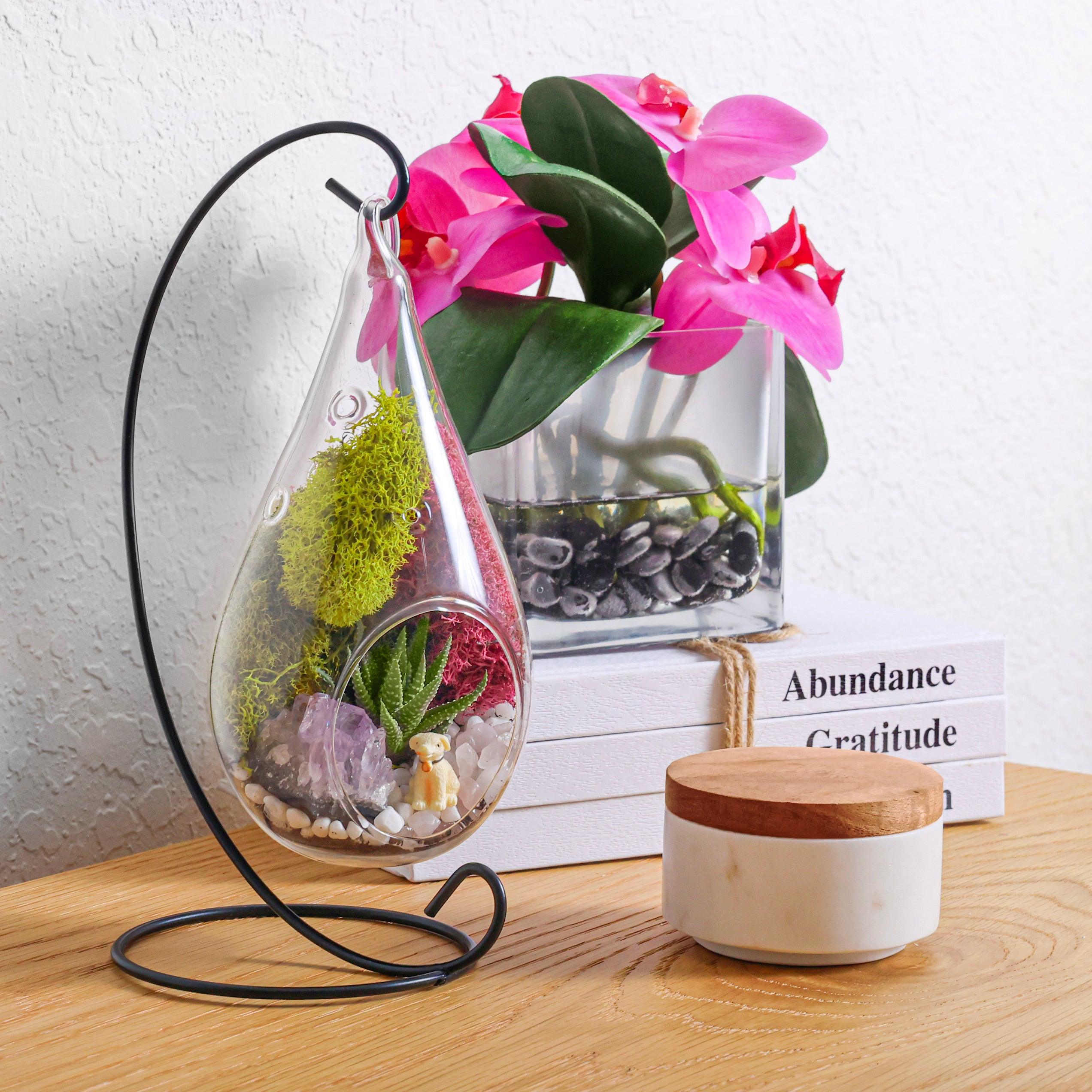 7" Glass Tear Drop Succulent Terrarium Kit - Creations by Nathalie