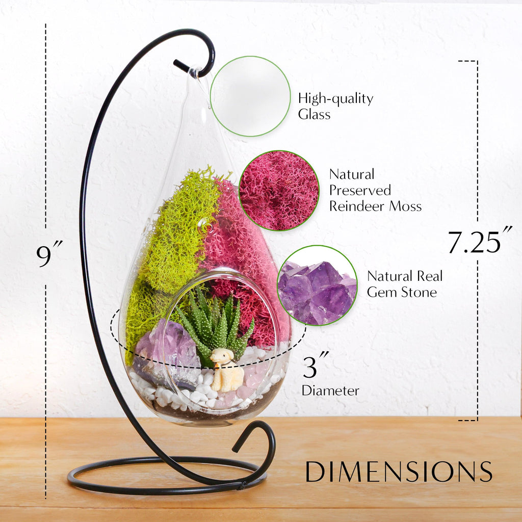 7" Glass Tear Drop Succulent Terrarium Kit - Creations by Nathalie