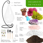 7" Glass Tear Drop Succulent Terrarium Kit - Creations by Nathalie