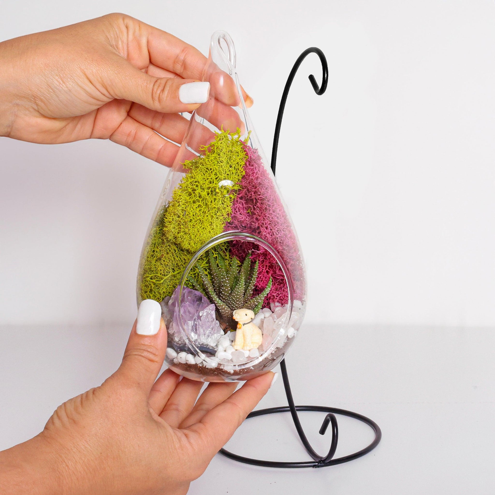 hanging glass succulent terrarium 7" Glass Tear Drop Succulent Terrarium Kit