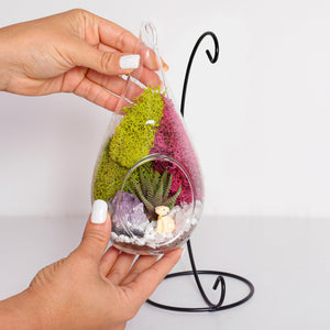 7" Glass Tear Drop Succulent Terrarium Kit - Creations by Nathalie