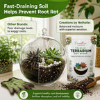 Terrarium Soil Mix — Well-Draining Succulent & Cactus Potting Soil, 2.2 QT | Natural Pine Bark, Peat & Coarse Sand Indoor Planting Blend