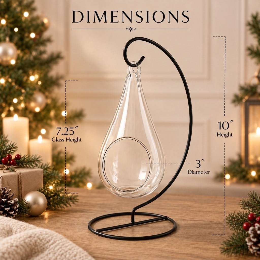 Hanging Teardrop Glass Terrarium with Stand — Hand-Blown Air Plant & Succulent Holder for DIY Kits, Home & Wedding Decor