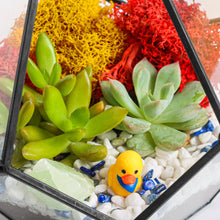 Load image into Gallery viewer, 8” Geometric Black Tear Glass Succulent Terrarium Kit - Creations by Nathalie