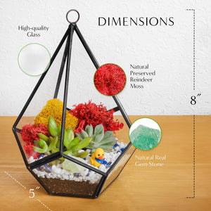 8” Geometric Black Tear Glass Succulent Terrarium Kit - Creations by Nathalie