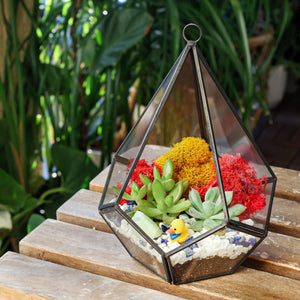 8” Geometric Black Tear Glass Succulent Terrarium Kit - Creations by Nathalie