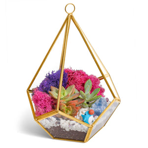 8” Geometric Gold Tear Glass Succulent Terrarium Kit - Creations by Nathalie