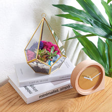 Load image into Gallery viewer, 8” Geometric Gold Tear Glass Succulent Terrarium Kit - Creations by Nathalie
