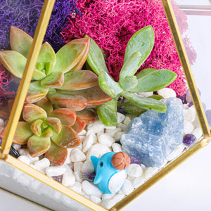 8” Geometric Gold Tear Glass Succulent Terrarium Kit - Creations by Nathalie