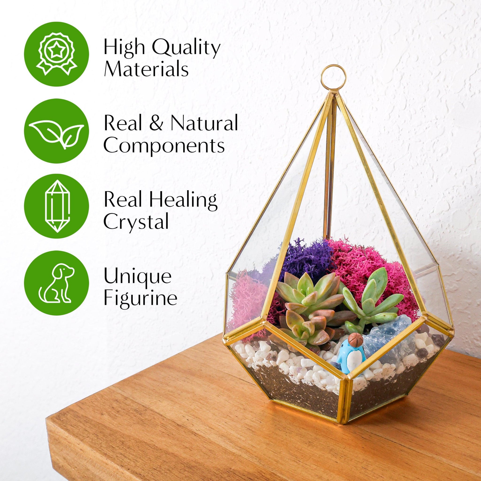 Glass DIY Terrarium Kit – Succulent Artworks