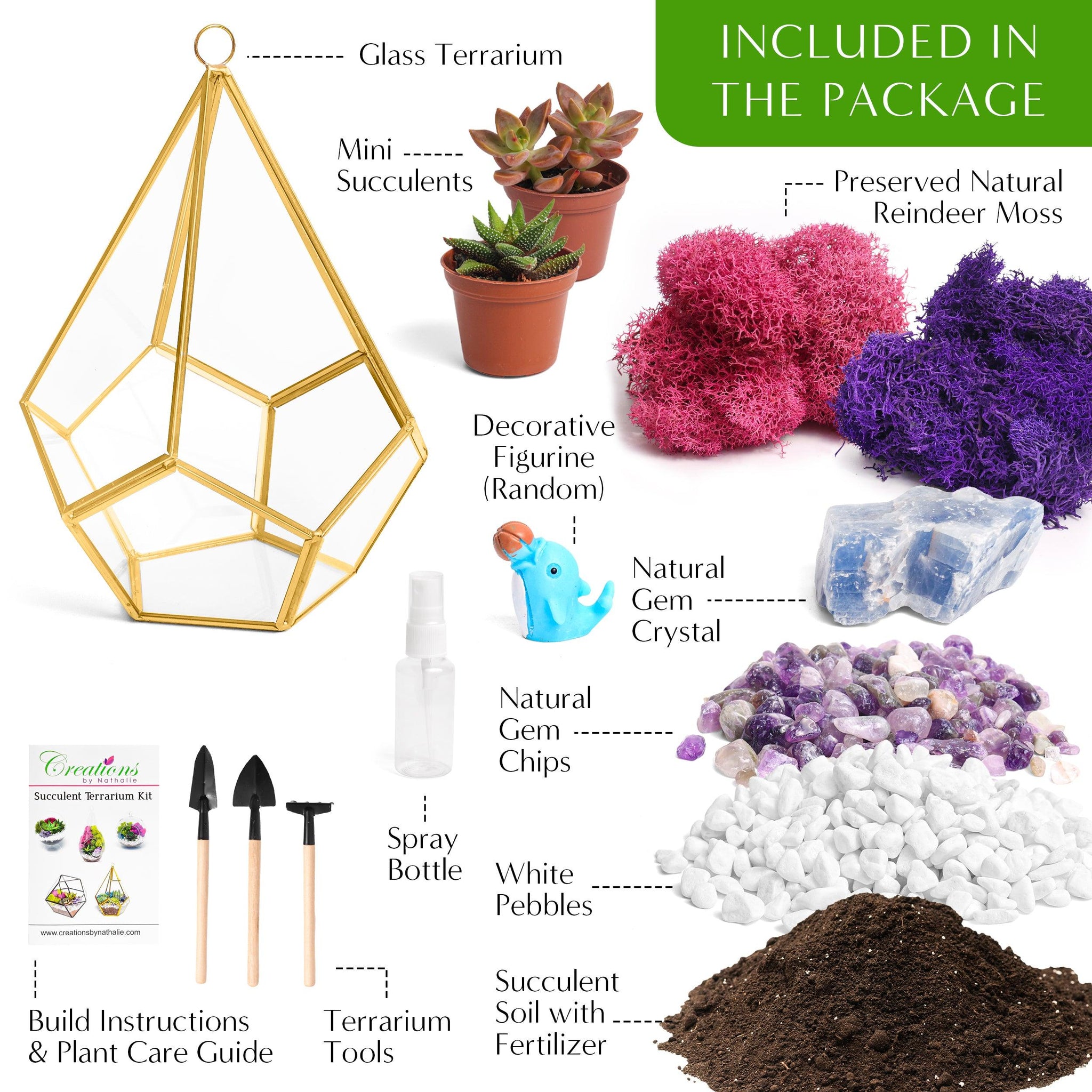 The Blooming Staircase Terrarium Kit