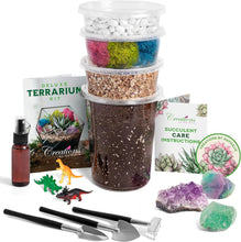 Load image into Gallery viewer, Large DIY Starter Terrarium Kit