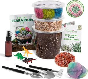 Small DIY Starter Terrarium Kit