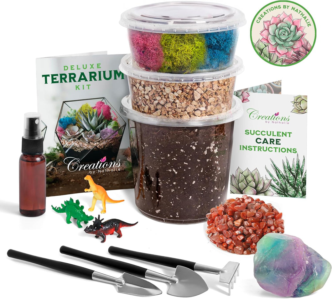 Small DIY Starter Terrarium Kit