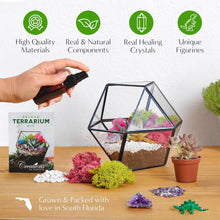 Load image into Gallery viewer, Small DIY Starter Terrarium Kit