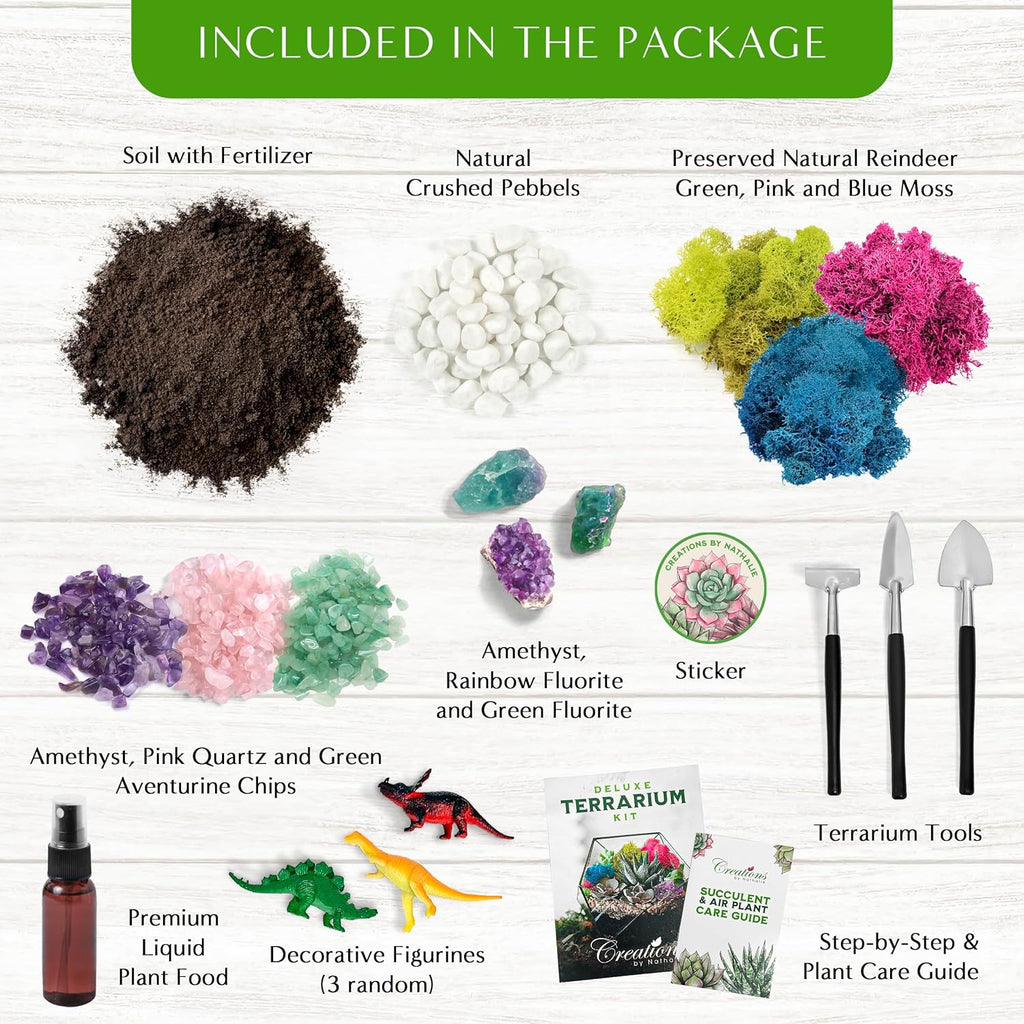 DIY Terrarium Kit for Succulents, Cacti and Air Plants, Handmade Plant Starter Kit with Soil, Moss, Pebbles and Tools