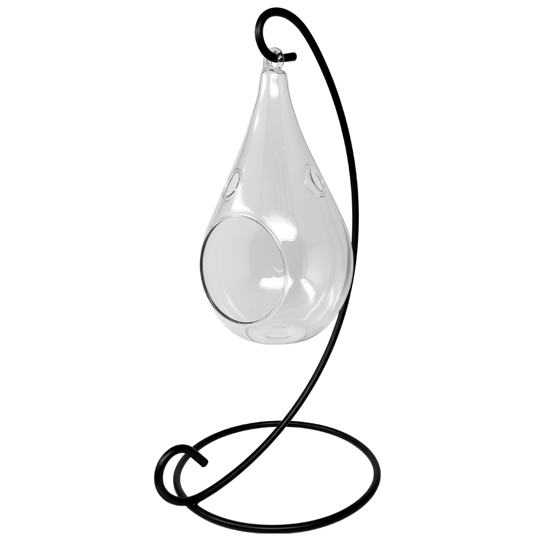 Hanging Teardrop Glass Terrarium with Stand — Hand-Blown Air Plant & Succulent Holder for DIY Kits, Home & Wedding Decor