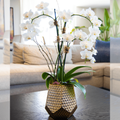 Metallic Vase Orchid