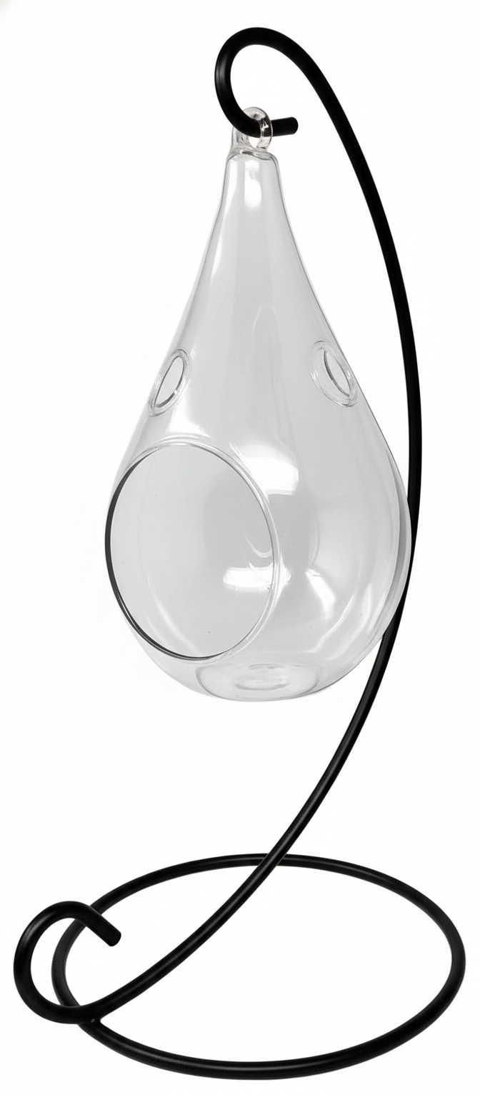 Hanging Teardrop Glass Terrarium with Stand: Air Plant & Succulent Holder