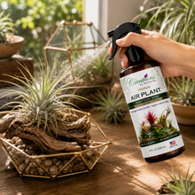 Load image into Gallery viewer, Creations by Nathalie Air Plant Food Spray, Ready-to-Use Liquid Plant Food for Air Plants &amp; Bromeliads, Indoor Fertilizer, 8 Fl Oz