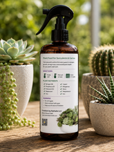 Load image into Gallery viewer, Creations by Nathalie Succulent &amp; Cactus Plant Food Spray, Ready to Use Liquid Plant Food for Indoor Plant Food, House Plant Food, Liquid Fertilizer for Succulent Plants &amp; Cactus, 8 Fl Oz