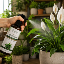 Load image into Gallery viewer, Creations by Nathalie Peace Lily Plant Food Spray, Liquid Plant Food for Indoor Plants, Ready to Use Indoor Plant Food, Peace Lily Fertilizer, House Plant Food for Houseplants, 8 Fl Oz