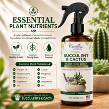 Load image into Gallery viewer, Creations by Nathalie Succulent &amp; Cactus Plant Food Spray, Ready to Use Liquid Plant Food for Indoor Plant Food, House Plant Food, Liquid Fertilizer for Succulent Plants &amp; Cactus, 8 Fl Oz