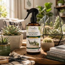 Load image into Gallery viewer, Creations by Nathalie Succulent &amp; Cactus Plant Food Spray, Ready to Use Liquid Plant Food for Indoor Plant Food, House Plant Food, Liquid Fertilizer for Succulent Plants &amp; Cactus, 8 Fl Oz