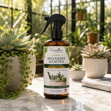 Load image into Gallery viewer, Creations by Nathalie Succulent &amp; Cactus Plant Food Spray, Ready to Use Liquid Plant Food for Indoor Plant Food, House Plant Food, Liquid Fertilizer for Succulent Plants &amp; Cactus, 8 Fl Oz