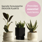 Terrarium Soil Mix & Plant Food Bundle — Well-Draining Potting Soil for Succulents, Cactus, Aloe & Indoor Plants