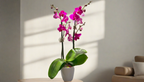 Large Tall Orchid