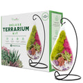 7" Glass Tear Drop Succulent Terrarium Kit