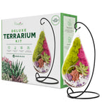 7" Glass Tear Drop Succulent Terrarium Kit
