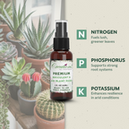 Live Succulent Plant with Fertilizer — Indoor Succulent Care Kit for Beginners, Terrarium, Desk Decor & Plant Gift